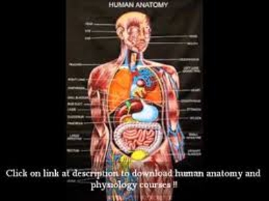 Human Anatomy - Assignment Point