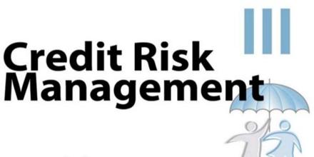 Image result for Credit and risk Management