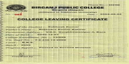 Sample Application for College Leaving Certificate