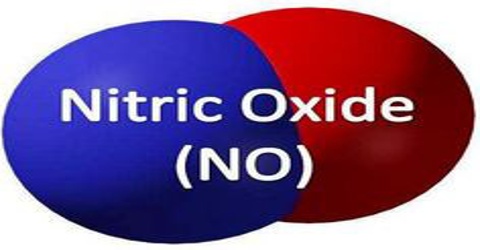 Nitric Oxide - Assignment Point