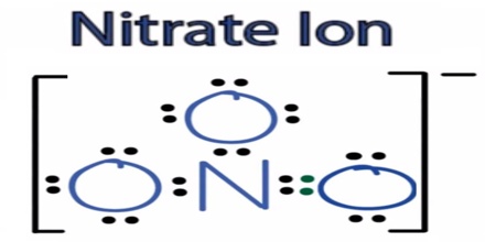 About Nitrate - Assignment Point