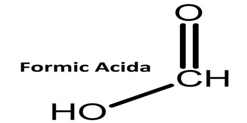acid formic i varicoza