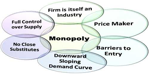 Monopoly market