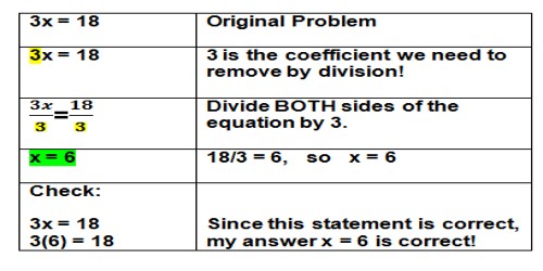 Division Equations - Assignment Point