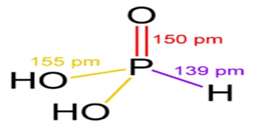 Phosphonate - Assignment Point