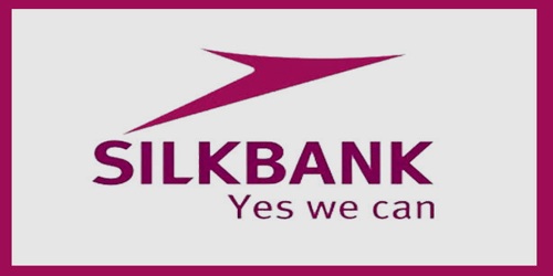 Annual Report 2008 of Silkbank Limited