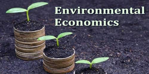 About Environmental Economics - Assignment Point