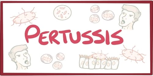 Research Paper On Pertussis
