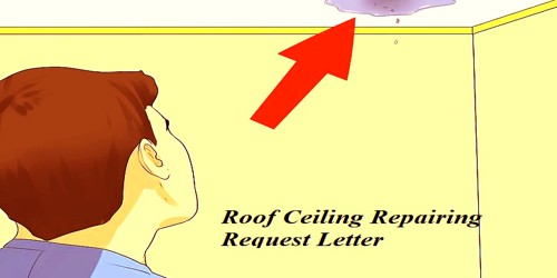 Sample Roof Ceiling Repairing Request Letter To House Owner