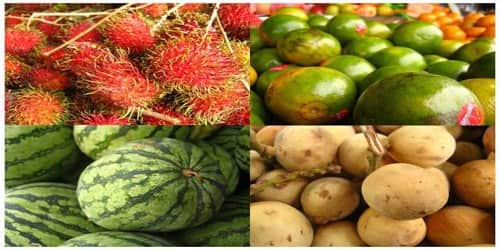 Fruits of Malaysia