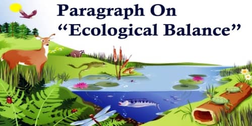 Essay ecological balance image