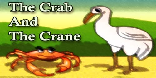 The Crab And The Crane