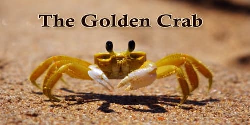 The Golden Crab