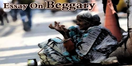 Essay On Beggary - Assignment Point