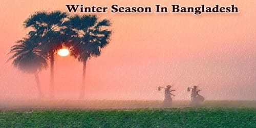 Essay On Winter Season In Bangladesh Assignment Point