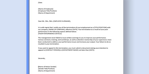 Poor Performance Termination Letter from www.assignmentpoint.com