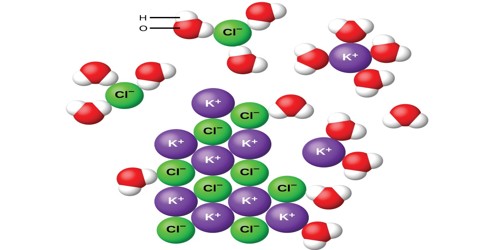 Potassium Chloride Properties And Occurrence Assignment Point
