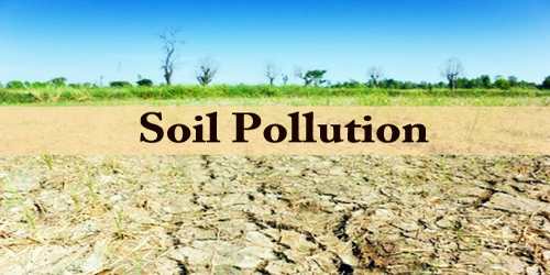 Essay on soil pollution