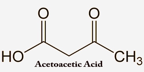 Acetoacetic Acid