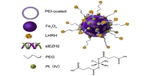 Platinum nanoparticle thesis 06 picture