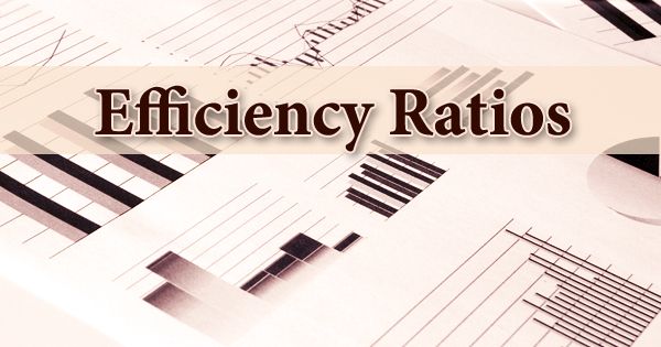 Efficiency Ratios