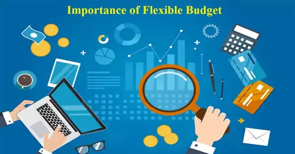 Importance of Flexible Budget