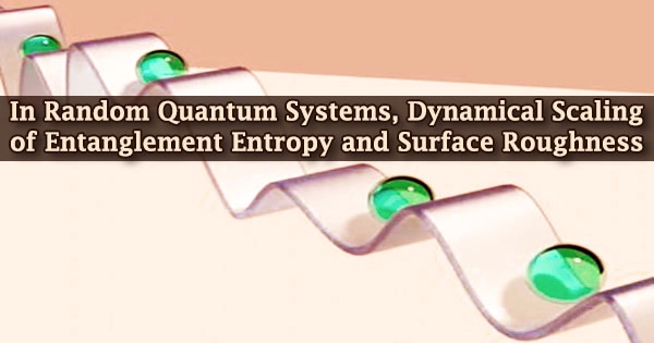 In Random Quantum Systems, Dynamical Scaling of Entanglement Entropy and Surface Roughness