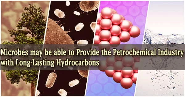 Microbes may be able to Provide the Petrochemical Industry with Long-Lasting Hydrocarbons