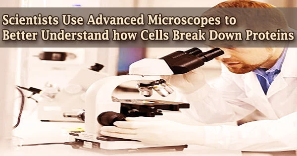 Scientists Use Advanced Microscopes to Better Understand how Cells Break Down Proteins