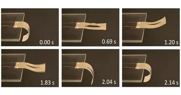 Thermal Actuation for Soft Robotics is Speed Up using a New Technique
