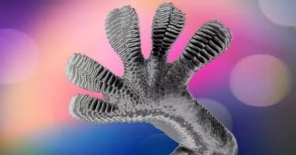 A Gecko-inspired Grip on a Robotic Hand