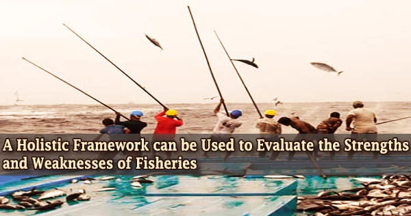 A Holistic Framework can be Used to Evaluate the Strengths and Weaknesses of Fisheries