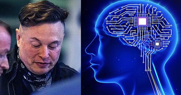 Musk Says Neuralink Hopes to Implant First Brain Chips Into Humans Next Year